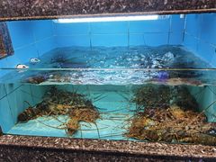 -王庄阿咪海鲜大排档(象园店)