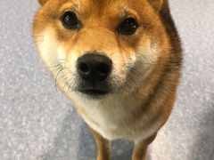 -博纳私人订制健身(中集美兰湖店)