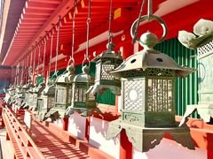-奈良公园