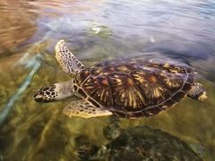 -福州罗源湾海洋世界旅游区