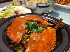 -正阳春烤鸭店(杨楼店)