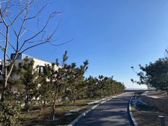 -阿那亚第三食堂 Cafeteria 3