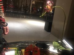 -壹号港湾