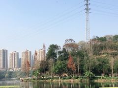 -重庆彩云湖湿地公园