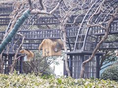 -青岛鑫江温德姆酒店
