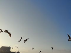 -蓬莱阁景区