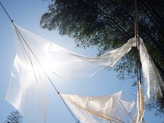 -宁波浙东大竹海景区