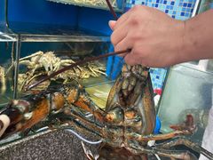 姜葱波士顿龙虾-蚝专家(北滘店)