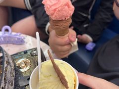 -CREAM STORY意大利手工冰淇淋&甜品(万象前海店)