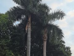 -广州市白云山风景名胜区