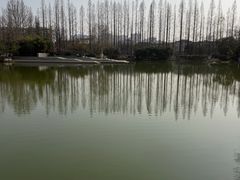 -桃花岛公园