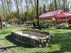 -合肥滨湖国家森林公园