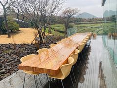 -雪绿茶博物馆
