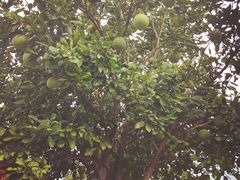 -太极禅苑
