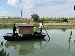 -小陆莲花蟹园农家乐(莲花岛店)