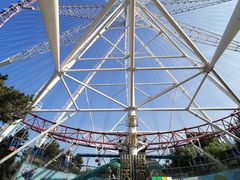 -哈尔滨文化公园