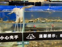 水产区-圣罗巴海鲜自助(黑金店)