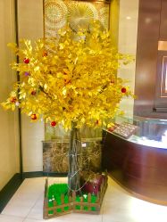 -菜百首饰(朝阳店)