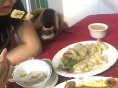 -蛇口康乐快餐鱼仔档(翠苑小区店)