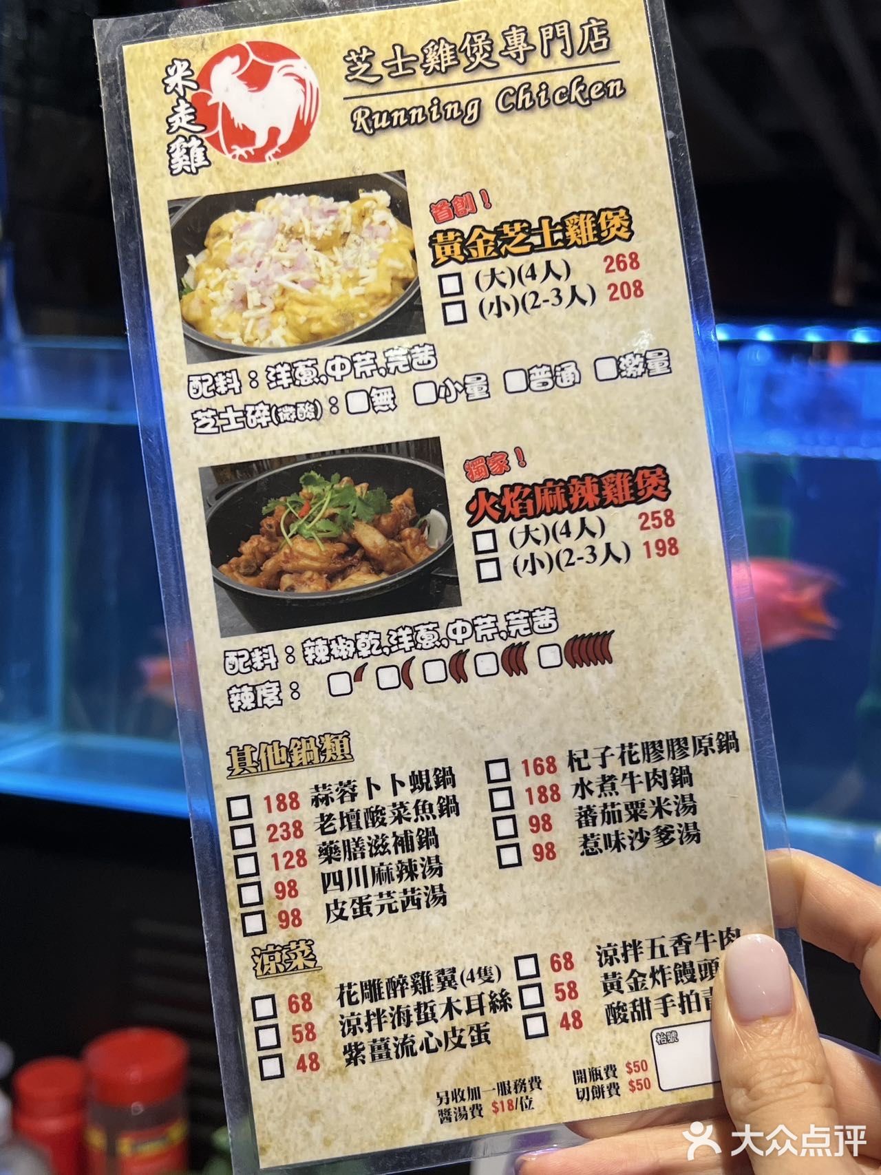 敲邪惡芝士雞煲 | 芝士愛好者