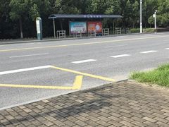 -平望服务区·停车场