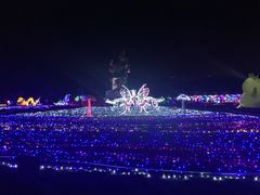 -亚龙湾国际玫瑰谷
