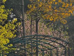 -乌山风景区