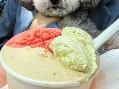 -Dip in Gelato(富民路店)