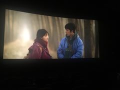 -武汉华夏国际影城(鲁广店)