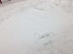 -Mr·Kuma酷么先生雪之乐园