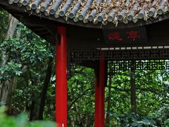 -深圳国际园林花卉博览园