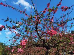 -象头山国家级自然保护区