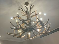 -鹿园 MOOSE(长宁店)