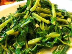 -新聚丰菜馆(太监弄店)