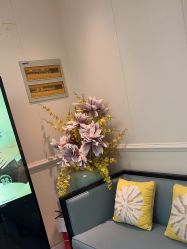 -静博士·养生养颜