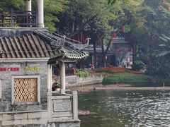 -荔湾湖公园