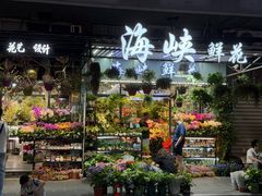 -溪岸路花鸟市场