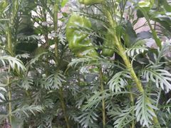 -小草屋轰趴馆别墅派对新场团建家庭聚会