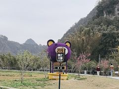 -靖西鹅泉风景区