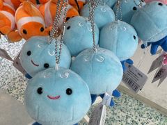 -鹿儿岛水族馆