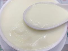 双皮奶-义顺牛奶公司(新马路老店)