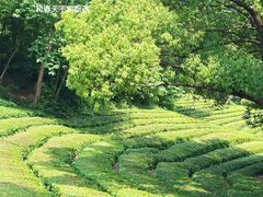 -敬亭山风景名胜区