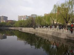 -文瀛公园
