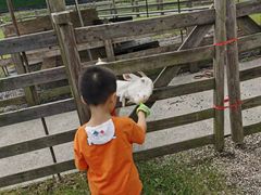 -前小桔亲子创意农场·草莓采摘·露营烧烤