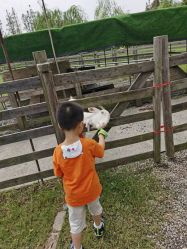 -前小桔亲子创意农场·草莓采摘·露营烧烤