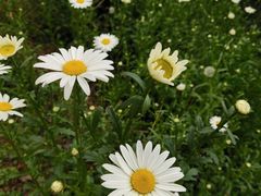 -王妈热卤·川味馆(海昌店)