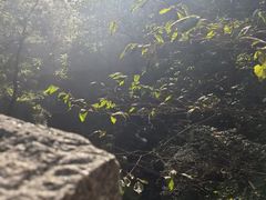 -天津盘山风景名胜区