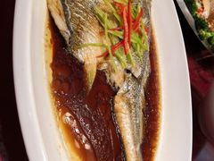 -海岛渔村大酒店(云霄路店)