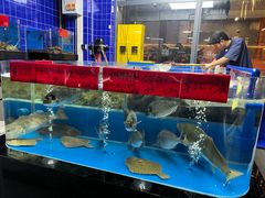-明本海鲜大排档·鱼生海鲜烧烤宵夜(陈家祠店)