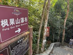 -海南热带雨林国家公园吊罗山景区